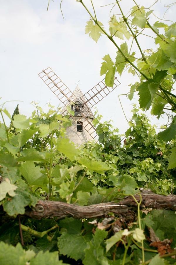 Au Coeur Des Vignes Bed and Breakfast Archiac Eksteriør billede