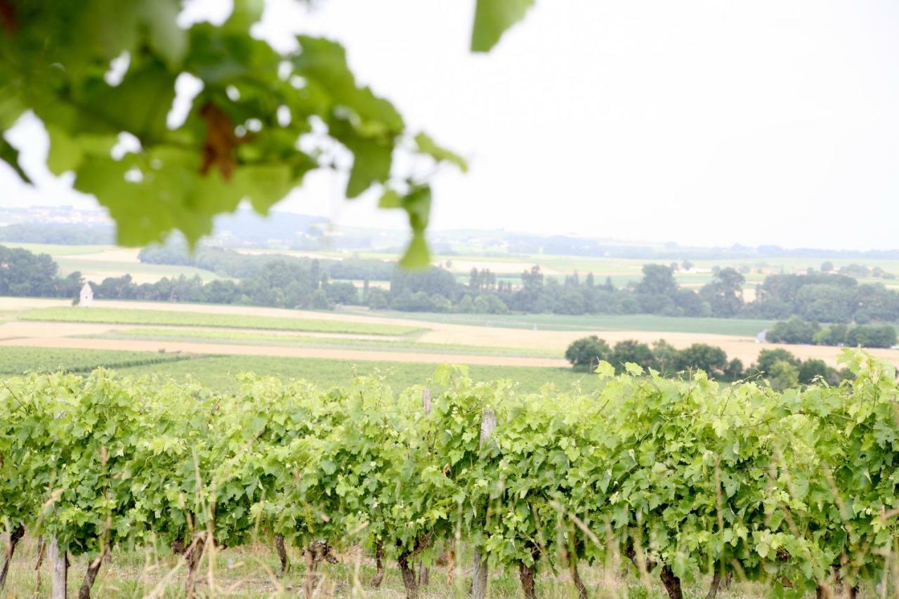 Au Coeur Des Vignes Bed and Breakfast Archiac Eksteriør billede